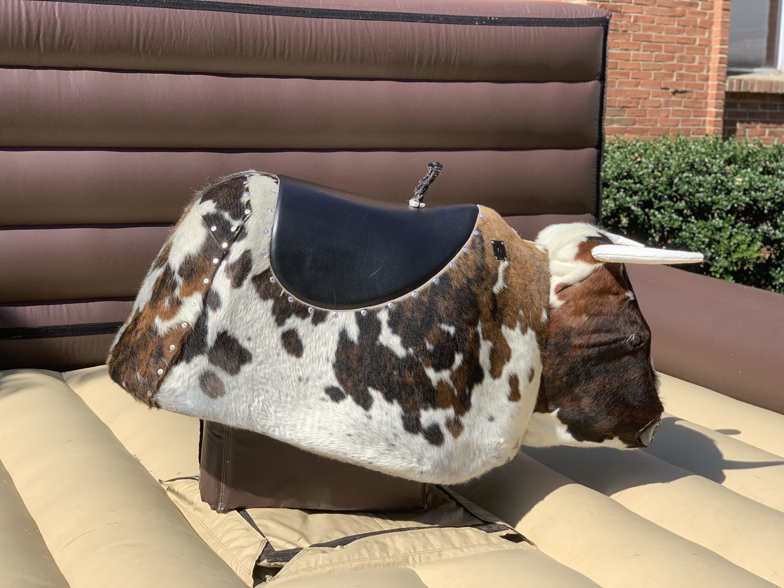 Mechanical Bull rentals Knoxville TN