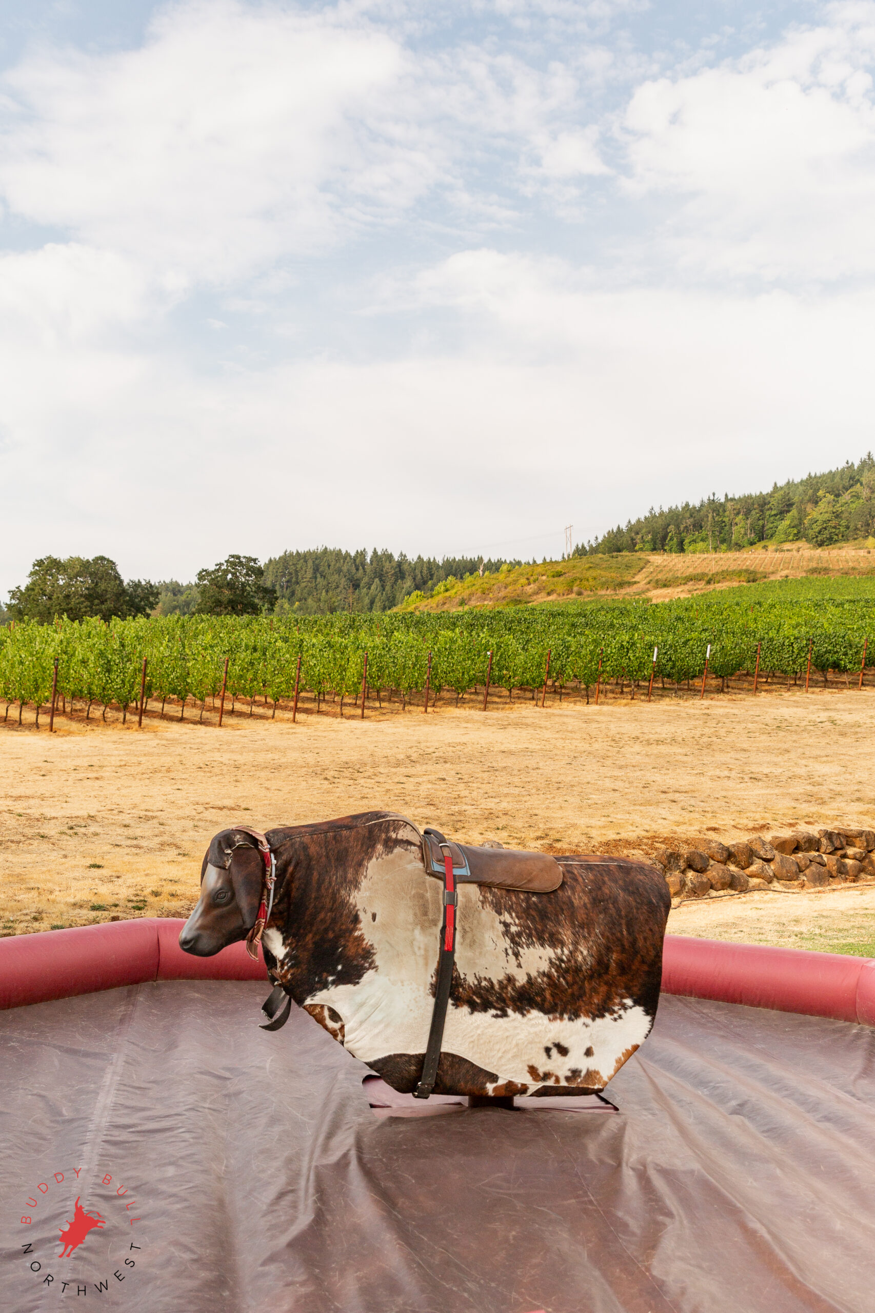 Mechanical bull Salem